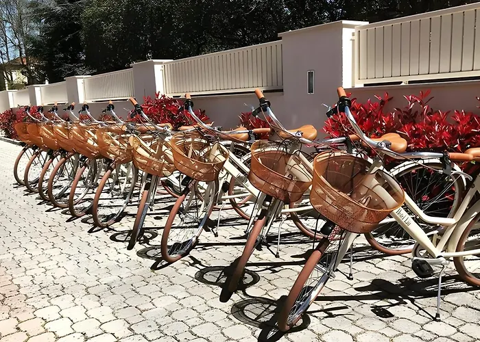 Hotel Liu Lido di Camaiore