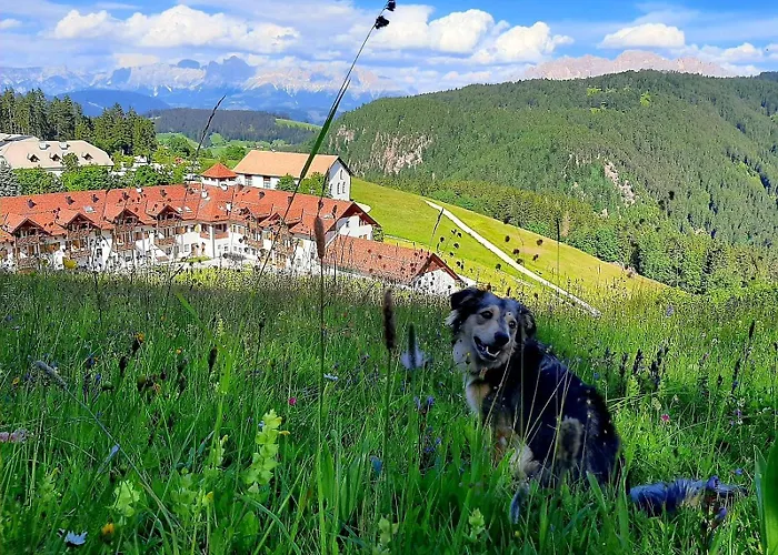 Gasthof Schmiederalm Aldein