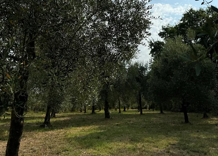 B&B Podere Cottimellino - Montalcino - Val D'Orcia
