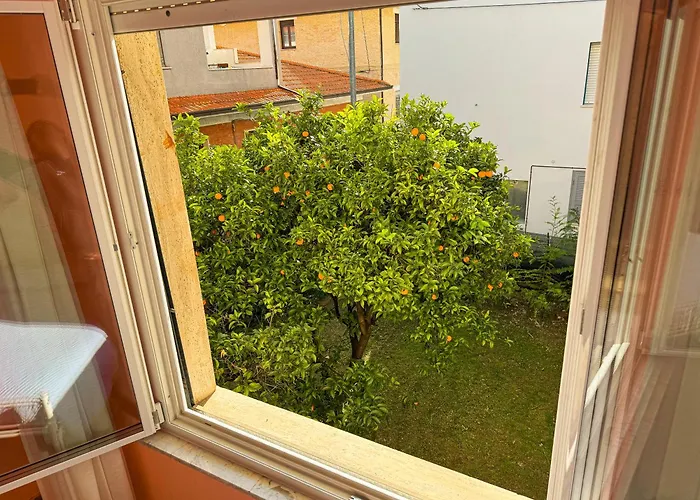 Affittacamere Bel Fiore San Benedetto del Tronto