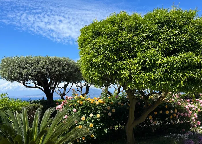 Hotel Sorrento Garden