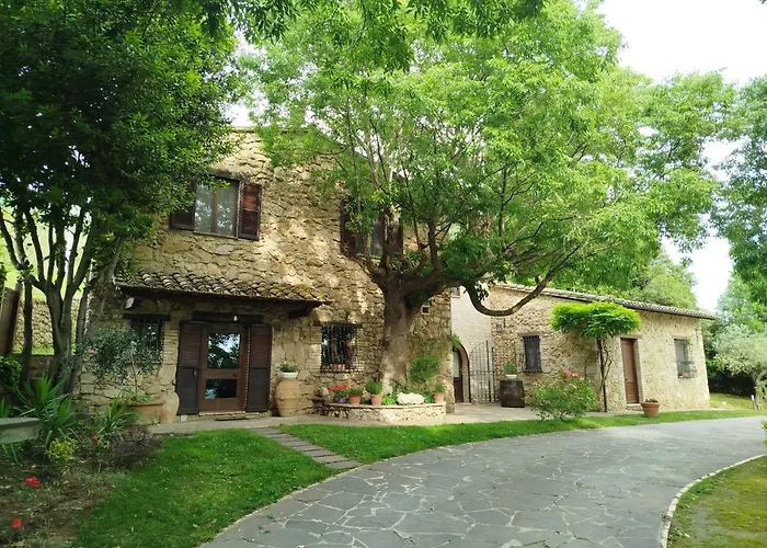B&B All'Ombra di San Damiano Assisi