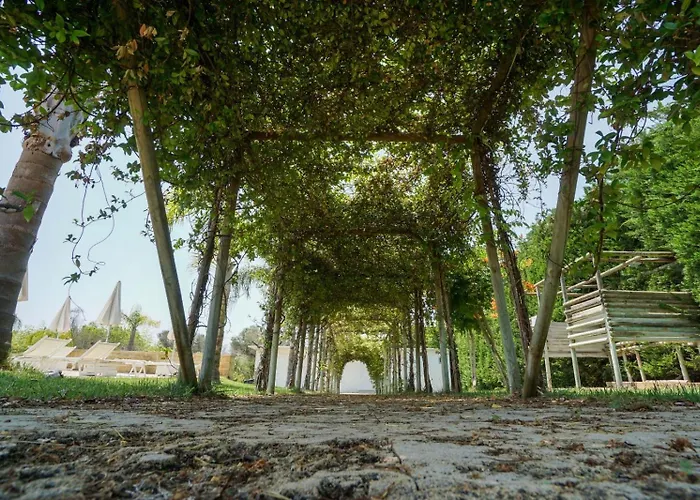 Hotel L'Ulivo e la Stella Porto Cesareo