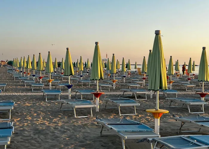 Hotel Donegal Cesenatico
