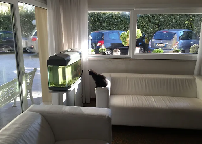 Hotel Viking Rimini