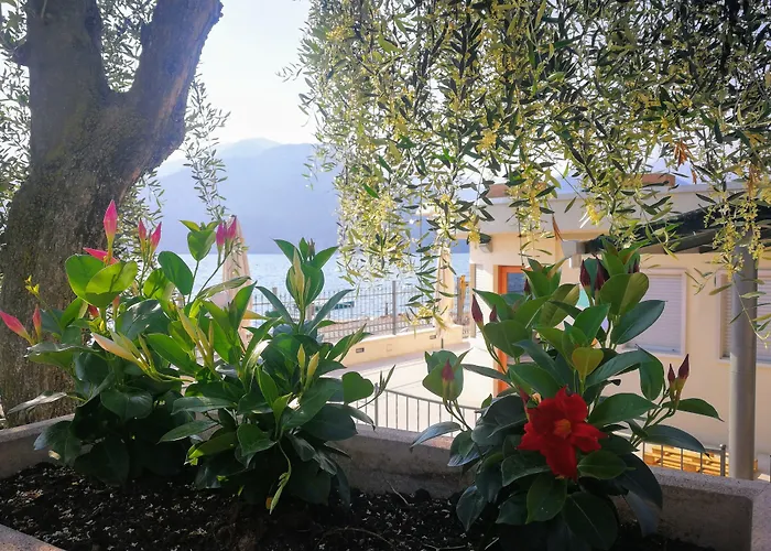 Hotel Drago Brenzone sul Garda