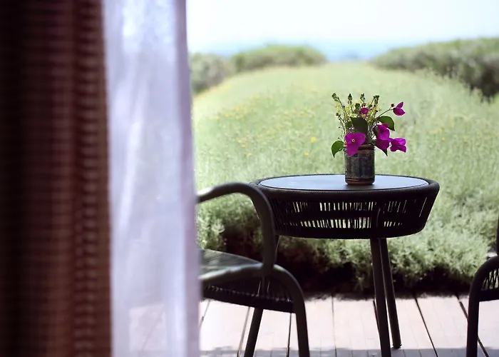 La Foresteria Planeta Wine Resort & Beach Club Menfi