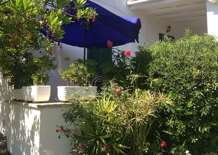 Hotels in Fregenae