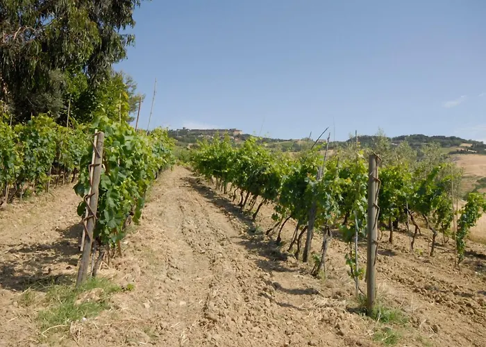 Agriturismo Mannaioni Volterra