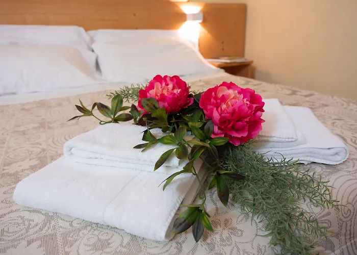 Hotel Alla Fonte Arta Terme