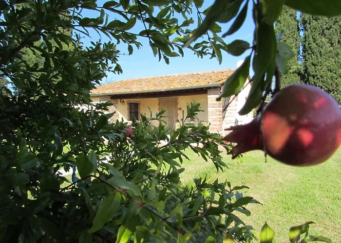 Agriturismo Pretenzano Volterra