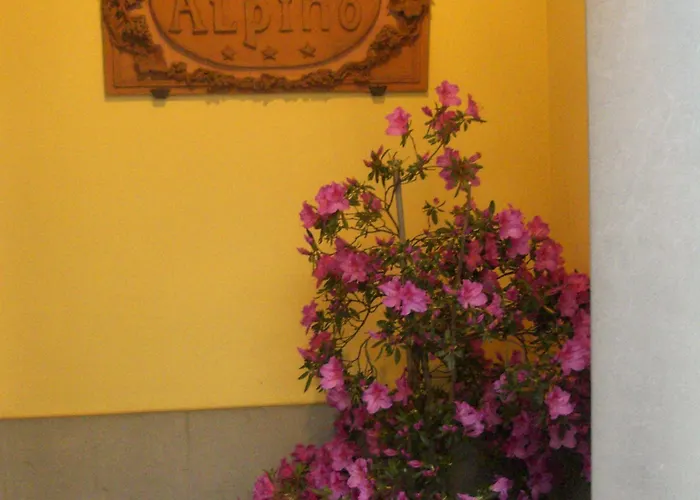 Hotel Alpino Barga