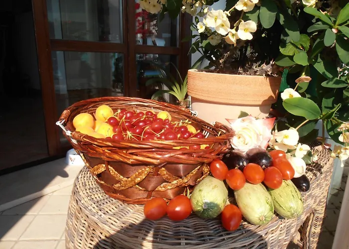 Hotel Walter Gatteo a Mare