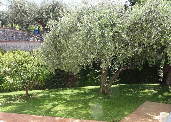 Residence Dei Fiori Pietra Ligure