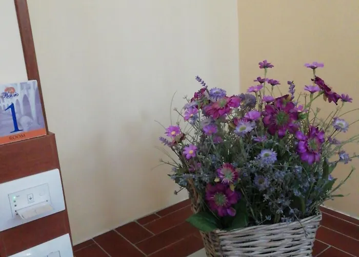 B&B Flavio Pozzuoli