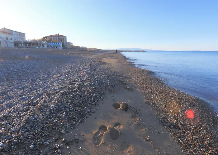Bed & Parking Cecina Rooms Marina di Cecina