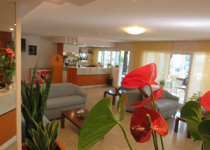 Hotel Solidea Rimini