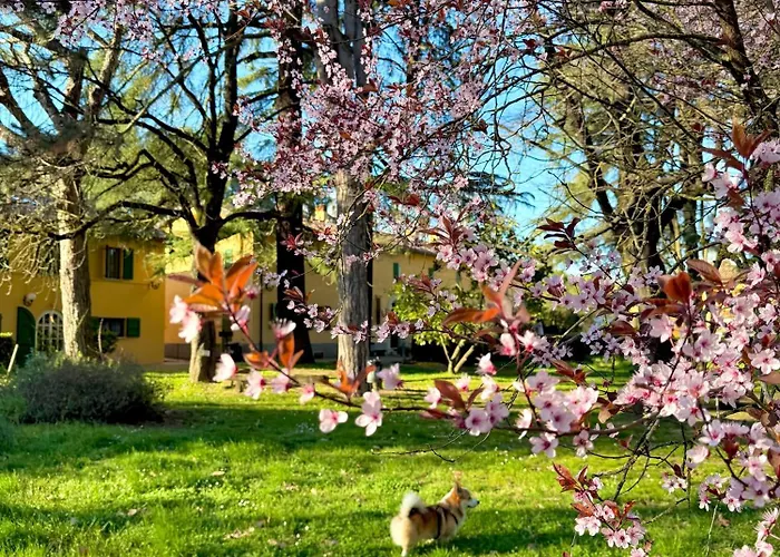 Hotel Ca' Vecchia Sasso Marconi