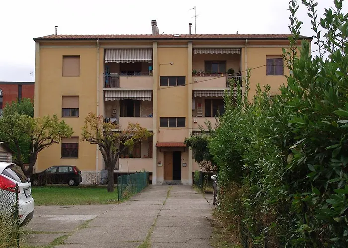 B&B Myosotis Piza