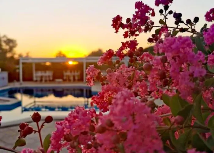 Peperosa Rooms And Events - Peaceful Countryside Escape With Pool, Private Parking, Just Minutes From The Sea, Anzio And Nettuno