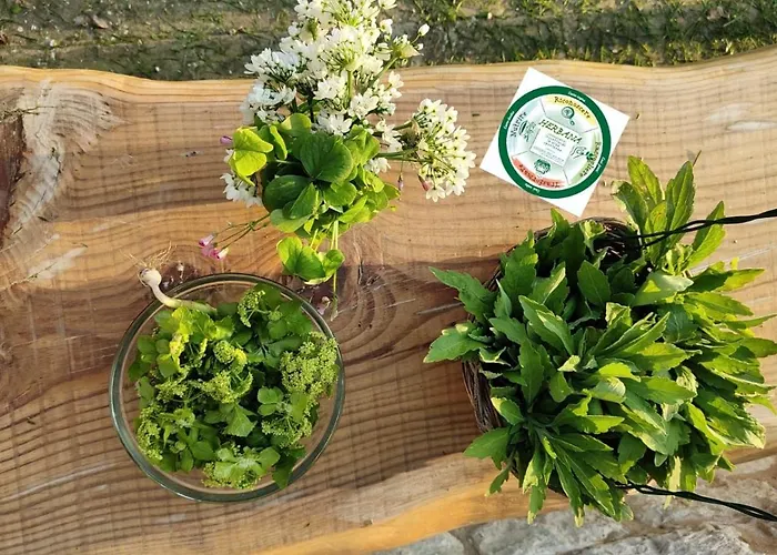 Bed and Breakfast Campo Del Mare Sirolo