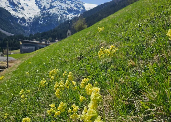 Pension Pernthaler Schlanders