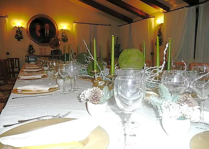 Salcedo Hotels