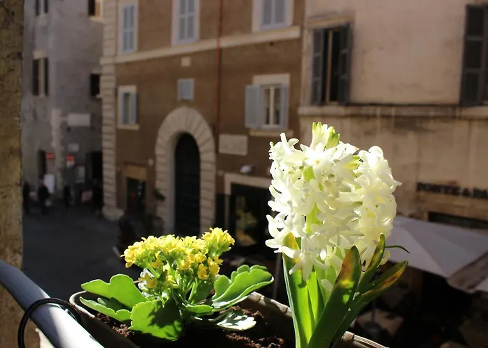 Hub Navona Acomodação com café da manhã Roma
