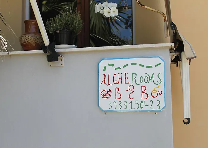 Algherooms