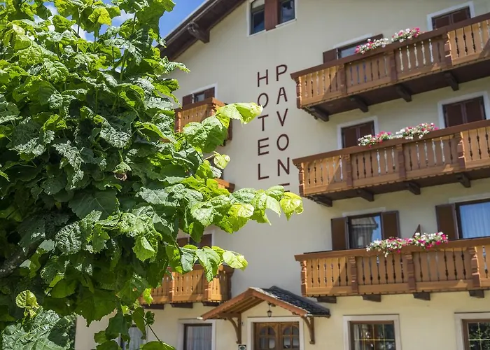 Hotel Pavone Andalo