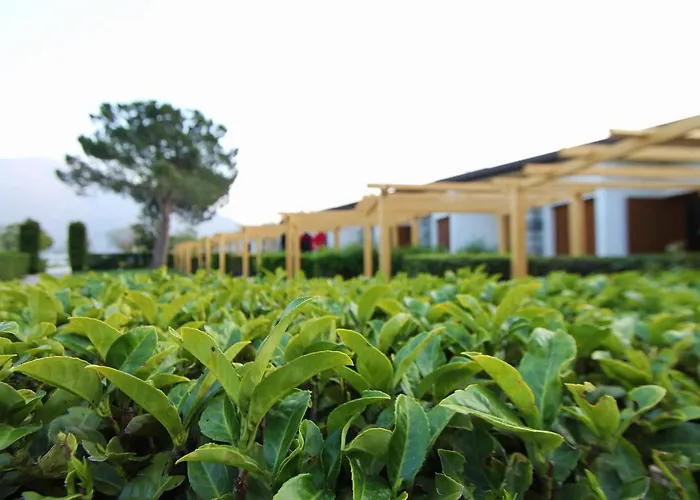 Hotel Bungalows Europa Domaso