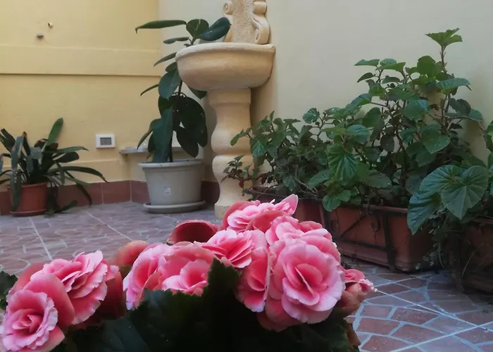 Hotel Le Rose Del Viale Palermo