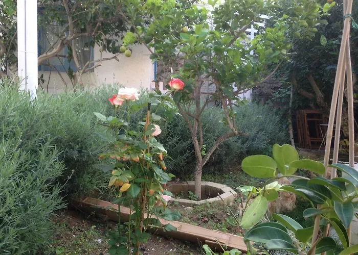 Bed and Breakfast La Casa del Limoneto Favignana