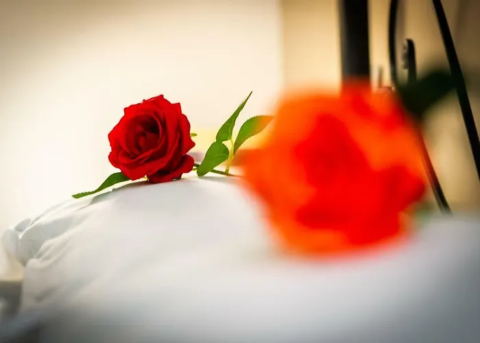 B&B Saint Paul Rome